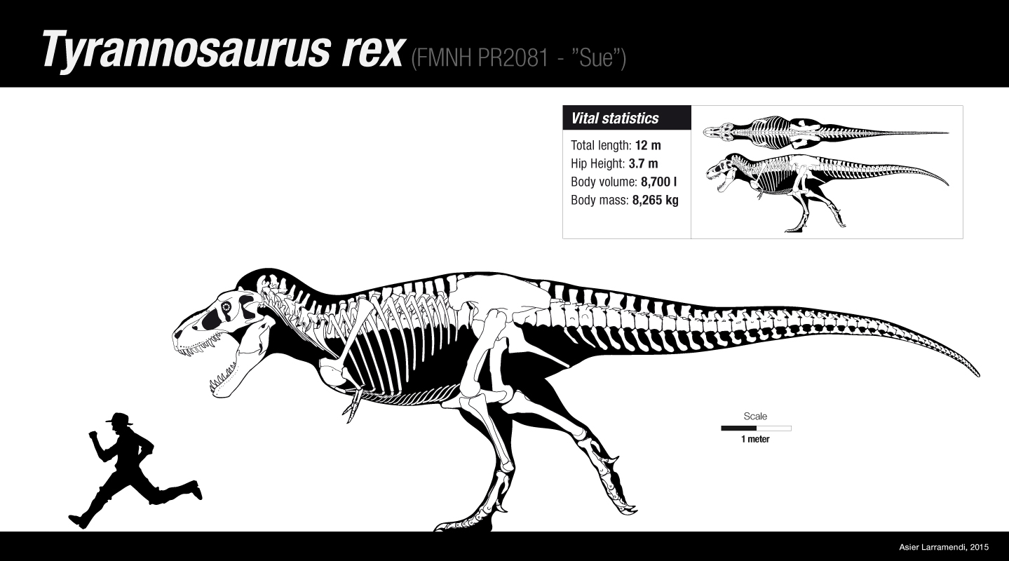 The king T. rex by Asier-Larramendi