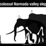 The colossal Narmada valley elephants