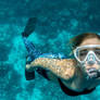 Maui Snorkeling Tours