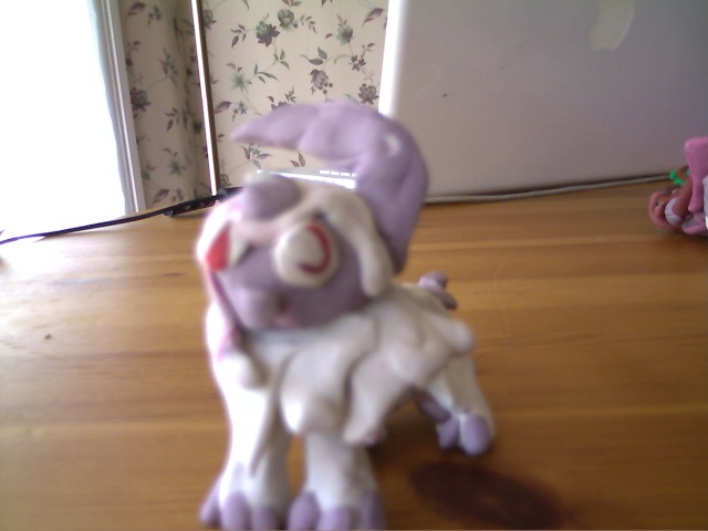 absol