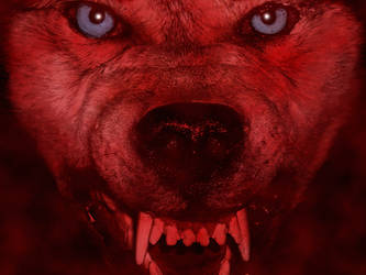 Red Wolf