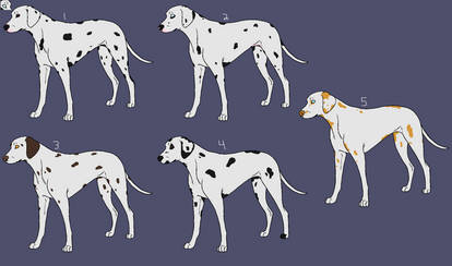 Dalmatian Adopts ~OPEN~