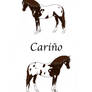 Carino- ADOPTED