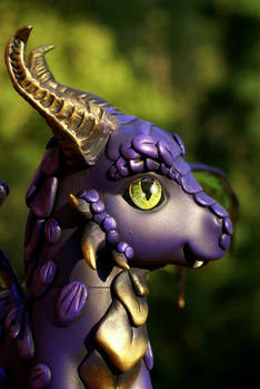 Purple Dragon2 by BarbedDragon