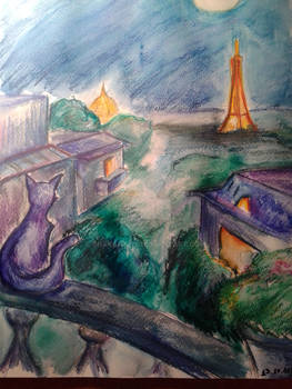 How a cat see Paris