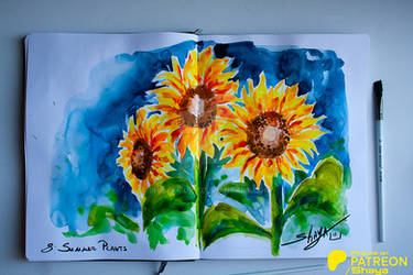 Day 8 - Summer Plants