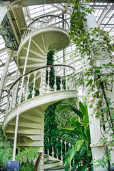 Spiral Staircase 10