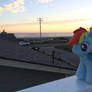 Rainbow Dash at the Beach