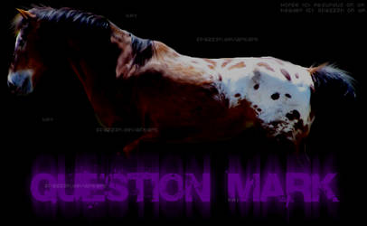 Question Mark header 2