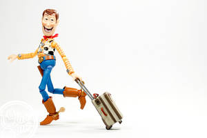 Where in the World is Woody