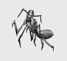 Jet Black Ant