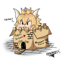 Bowsette box