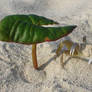 A Crab's Umbrella