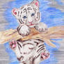 White Tiger Cub