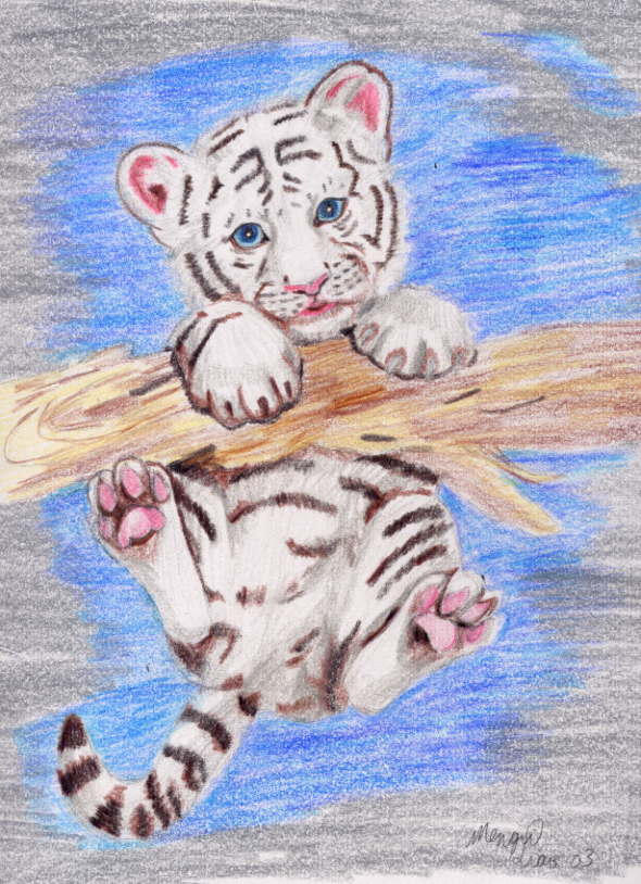 Тигр на ветке ребенок. Детский рисунок тигра. Тигр рисунок детский. Тигренок иллюстрация. Рисуем тигренка.