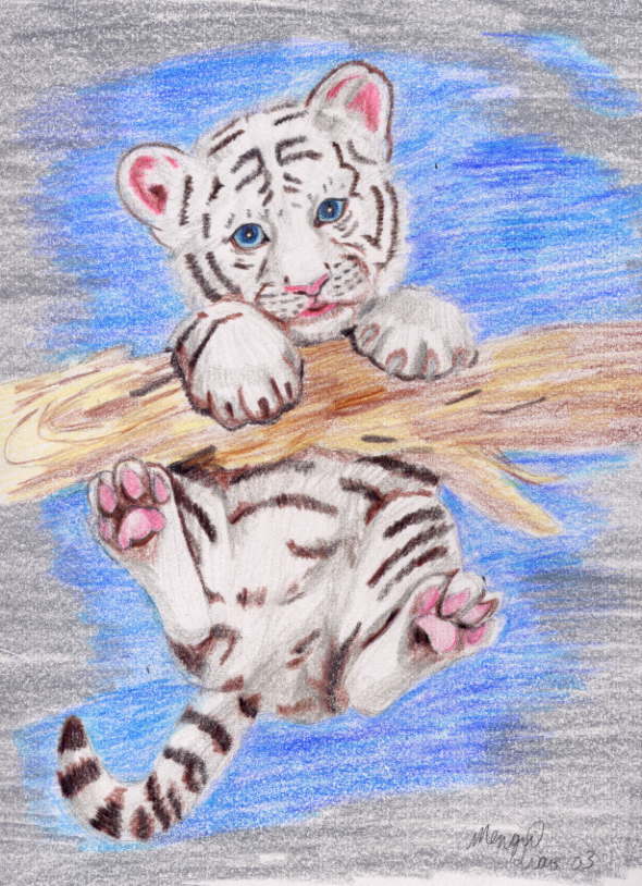 White Tiger Cub by MapleRose on DeviantArt White Tiger Cub by MapleRose on DeviantArt
