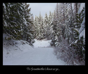 Grandmother's Driveway