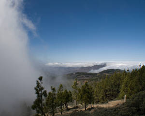 above the clouds