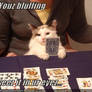 lolcat - Bluffing