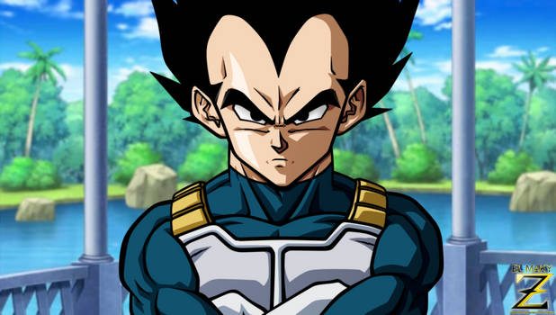 DBS - Vegeta