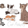 Cat Adopts!