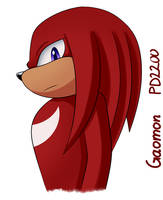 .:StH:. Knuckles Practise Doodle