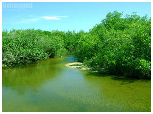 Haven Lagoon