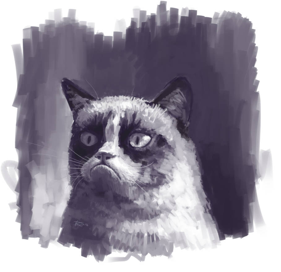 Grumpy Cat Rip Deviantart Classic Grumpy by AndrAKondrA on DeviantArt