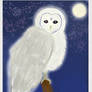 Celestial Owl