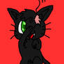 Winklebeebee D11 Black Cat