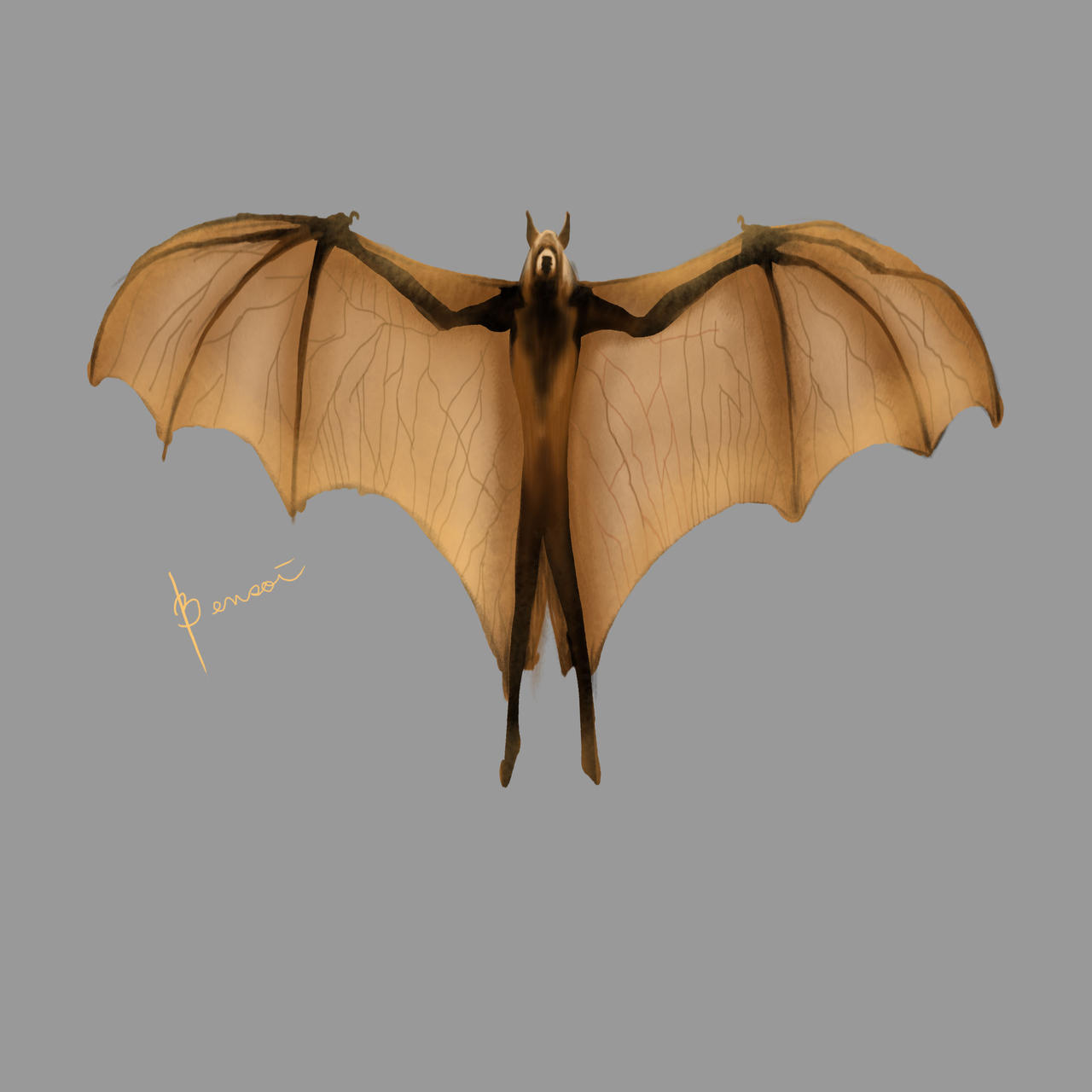 Bat by bensoidailisan on DeviantArt