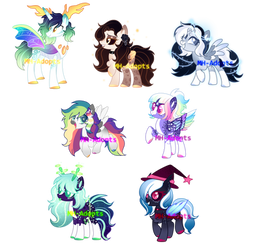 Pre-ordered MLP Next Gen adopts Closed by MH-Adopts