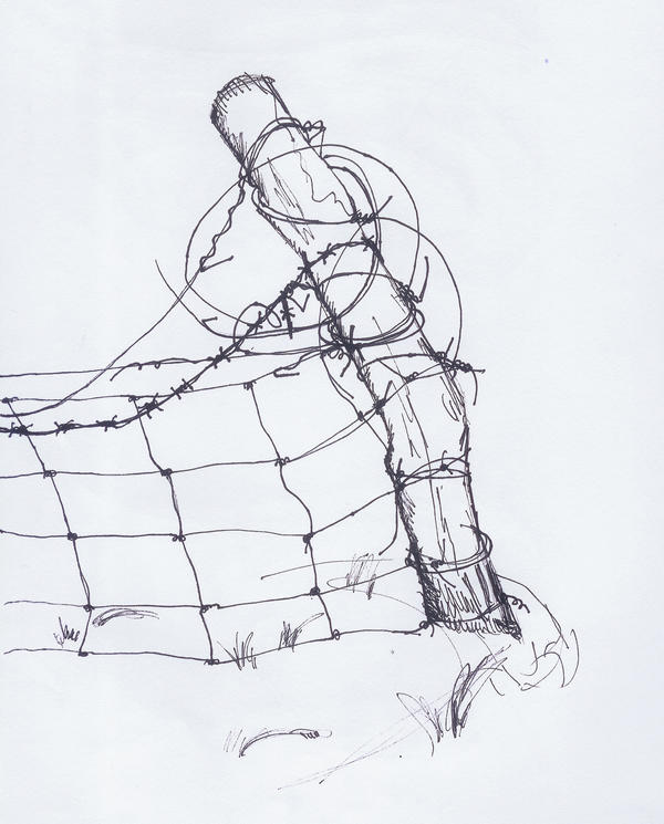 barbed wire by heatherwalker on DeviantArt
