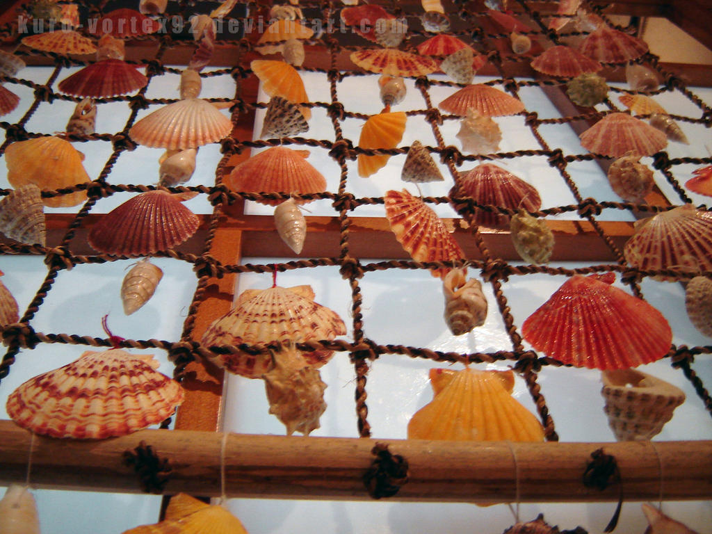 Shells by MarvelPoison on DeviantArt