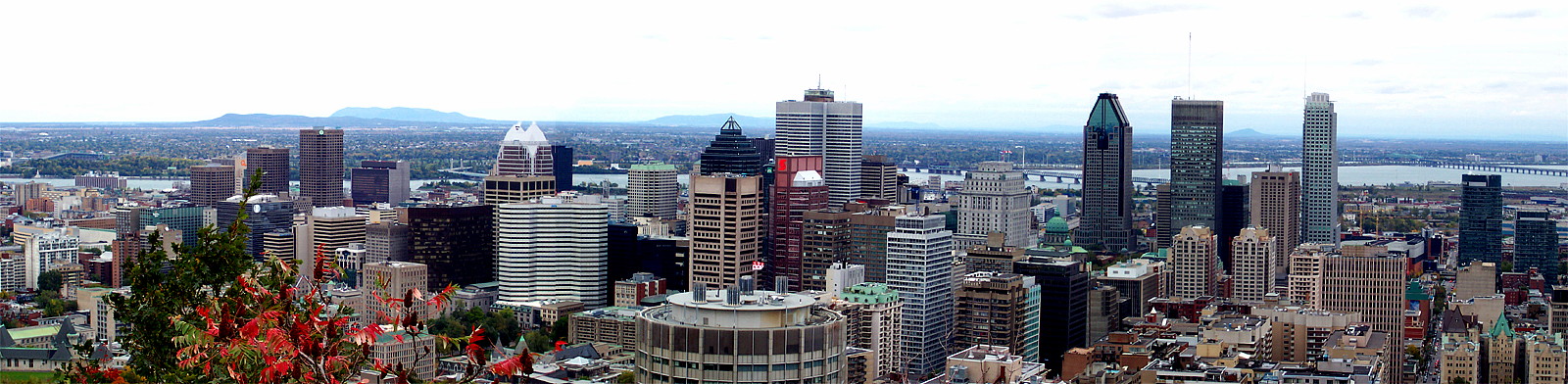 Montreal Panorama