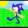 Sonic Walks through a Feild