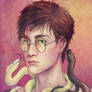 Snakes - Harry
