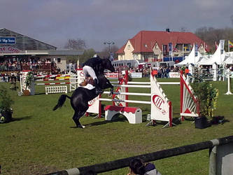 Horse show 3