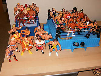 my wwe 90's collection