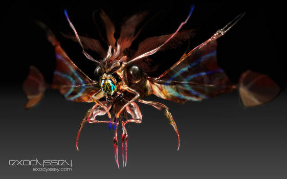 Insect01