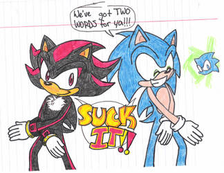 SUCK IT Sonic style B3 by KACItheCAT