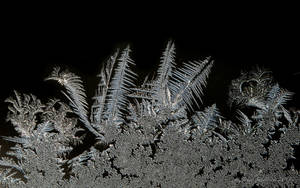 Frosty window