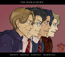 HP - The Marauders