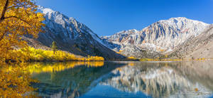 Convict lake pano