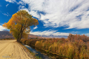 Bishop Canal