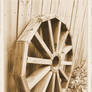 Wheel