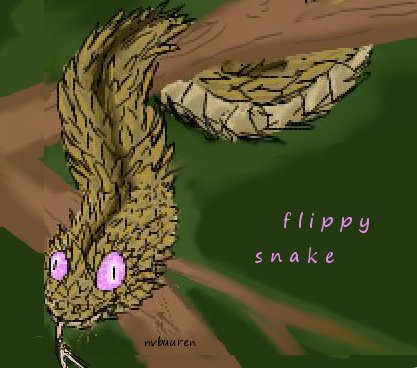 flippy the snake?!