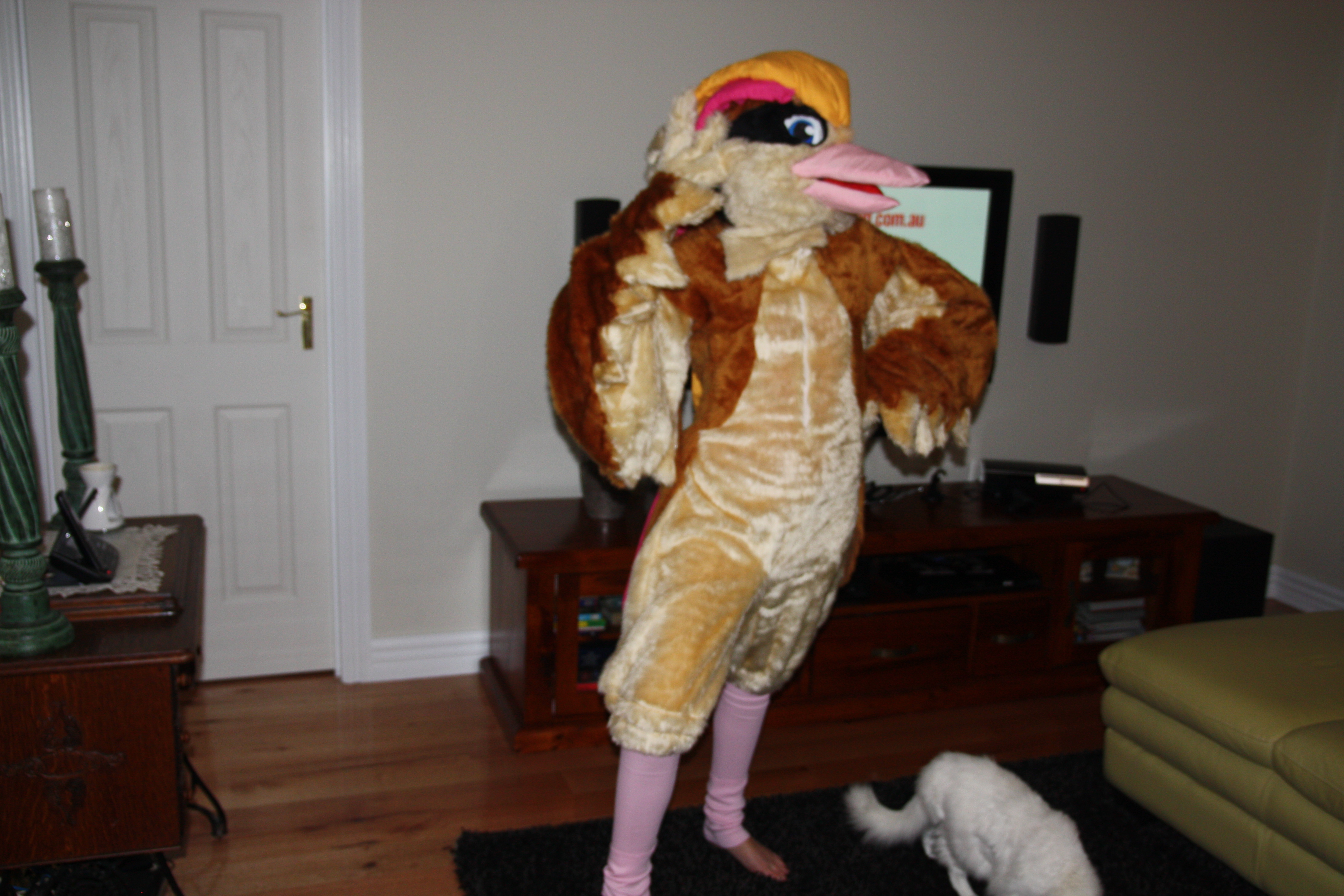 Pidgeot Fursuit - I FINISHED