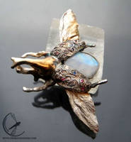 Flying beetle with moonstone brooch