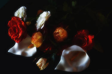 FLOWERS SERIES : CARAVAGGIO'S LIGHTS